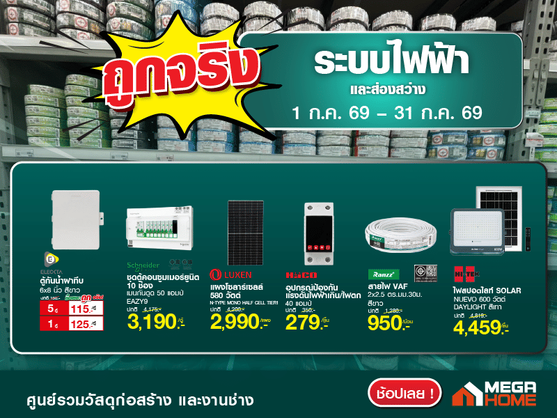 ถูกจริงระบบไฟ